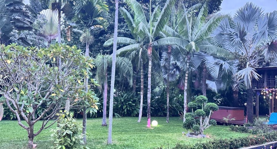 For sale and for rent 3 bedrooms villa in Doi Saket, Chiang Mai