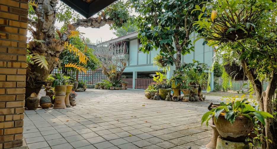 For sale 2 bedrooms house in Doi Saket, Chiang Mai