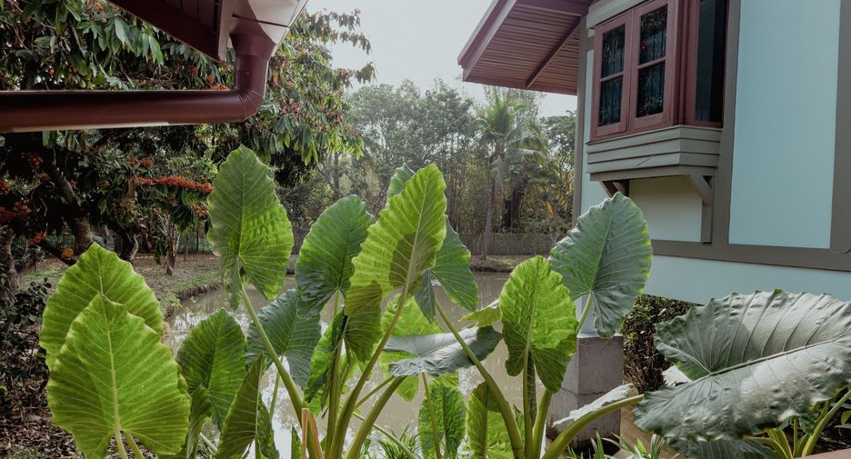 For sale 2 bedrooms house in Doi Saket, Chiang Mai