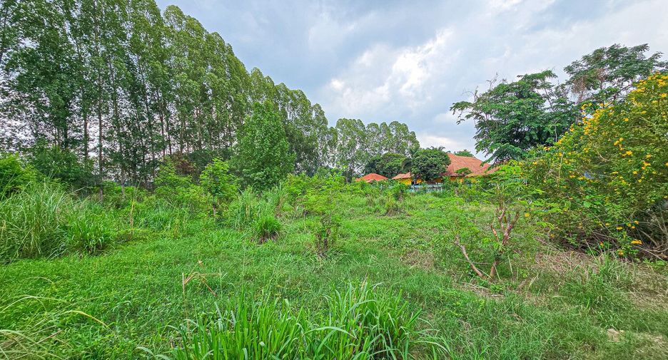 For sale land in Bang Saray, Pattaya