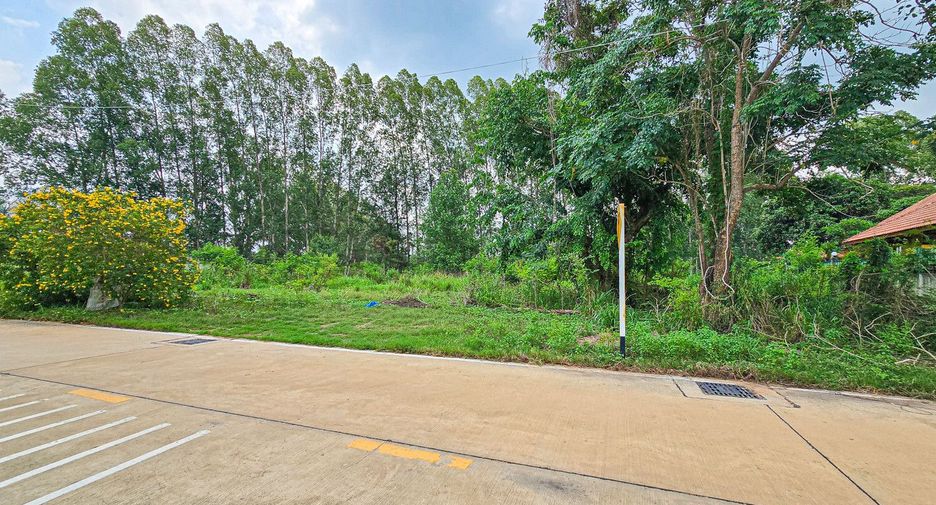 For sale land in Bang Saray, Pattaya