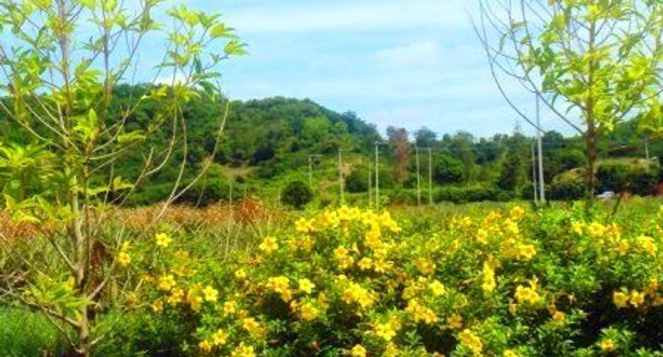 出售 土地 在 华欣, 班武里府