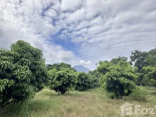 For sale land in Sam Roi Yot, Prachuap Khiri Khan
