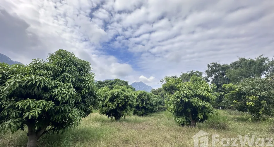 For sale land in Sam Roi Yot, Prachuap Khiri Khan