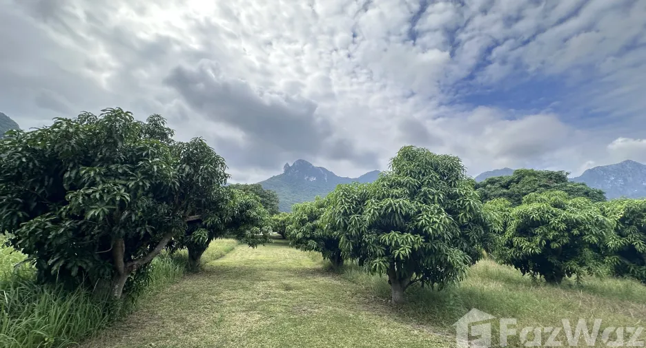 For sale land in Sam Roi Yot, Prachuap Khiri Khan