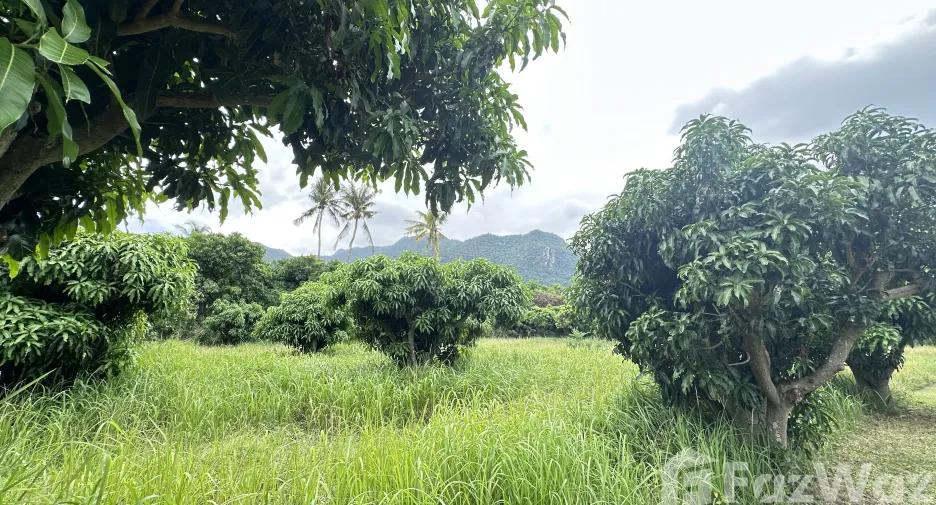 For sale land in Sam Roi Yot, Prachuap Khiri Khan