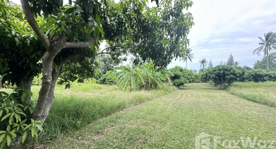For sale land in Sam Roi Yot, Prachuap Khiri Khan