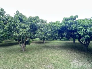 For sale land in Sam Roi Yot, Prachuap Khiri Khan