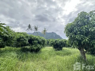 For sale land in Sam Roi Yot, Prachuap Khiri Khan