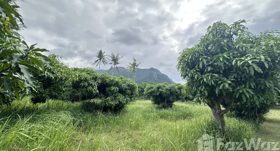 For sale land in Sam Roi Yot, Prachuap Khiri Khan