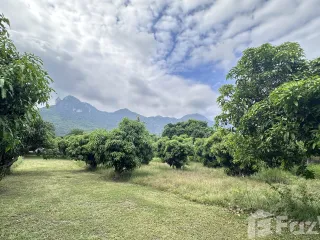 For sale land in Sam Roi Yot, Prachuap Khiri Khan