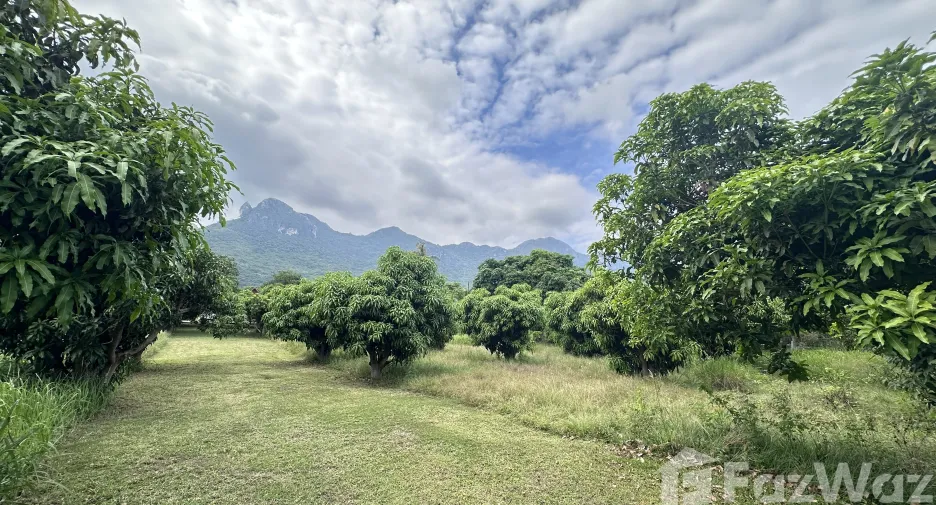 For sale land in Sam Roi Yot, Prachuap Khiri Khan
