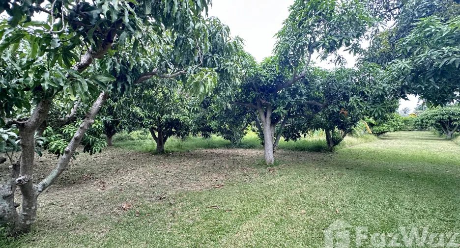 For sale land in Sam Roi Yot, Prachuap Khiri Khan