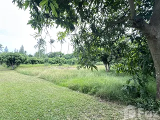 For sale land in Sam Roi Yot, Prachuap Khiri Khan