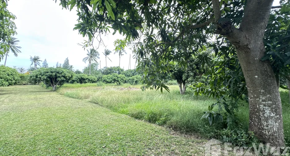 For sale land in Sam Roi Yot, Prachuap Khiri Khan