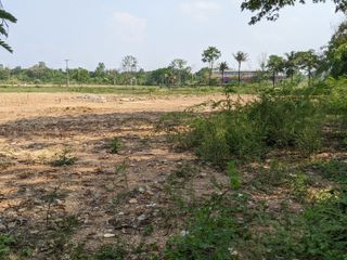 For sale land in San Sai, Chiang Mai