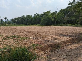 For sale land in San Sai, Chiang Mai
