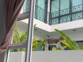 出租 4 卧室 独立屋 在 Mueang Chiang Mai, Chiang Mai