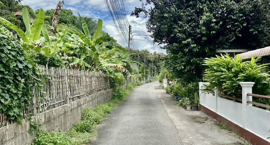 For sale 4 bedrooms house in Mae Rim, Chiang Mai