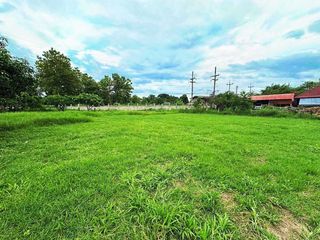 For sale land in San Sai, Chiang Mai
