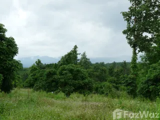 For sale land in Mae Taeng, Chiang Mai