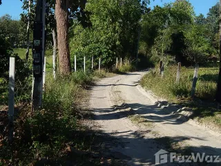 For sale land in Mae Taeng, Chiang Mai