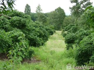 For sale land in Mae Taeng, Chiang Mai