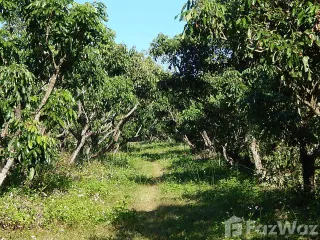 For sale land in Mae Taeng, Chiang Mai