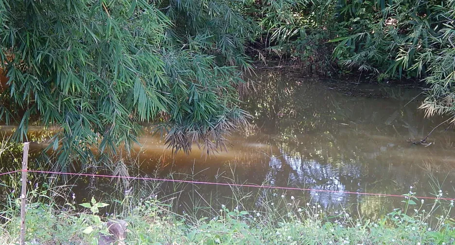 For sale land in Mae Taeng, Chiang Mai