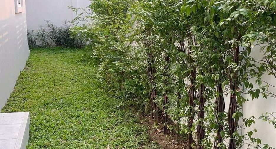 For sale and for rent 4 bedrooms house in Doi Saket, Chiang Mai