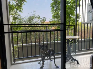 À louer 1 chambre condo à Hua Hin, Prachuap Khiri Khan