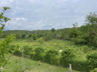 For sale land in Mae Rim, Chiang Mai