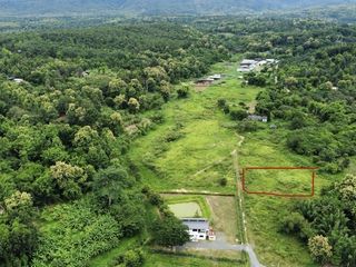 For sale land in Mae Rim, Chiang Mai