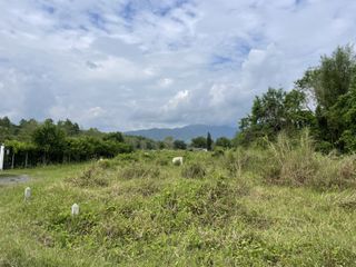 For sale land in Mae Rim, Chiang Mai