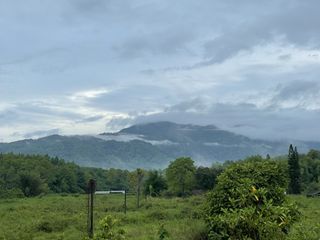 For sale land in Mae Rim, Chiang Mai