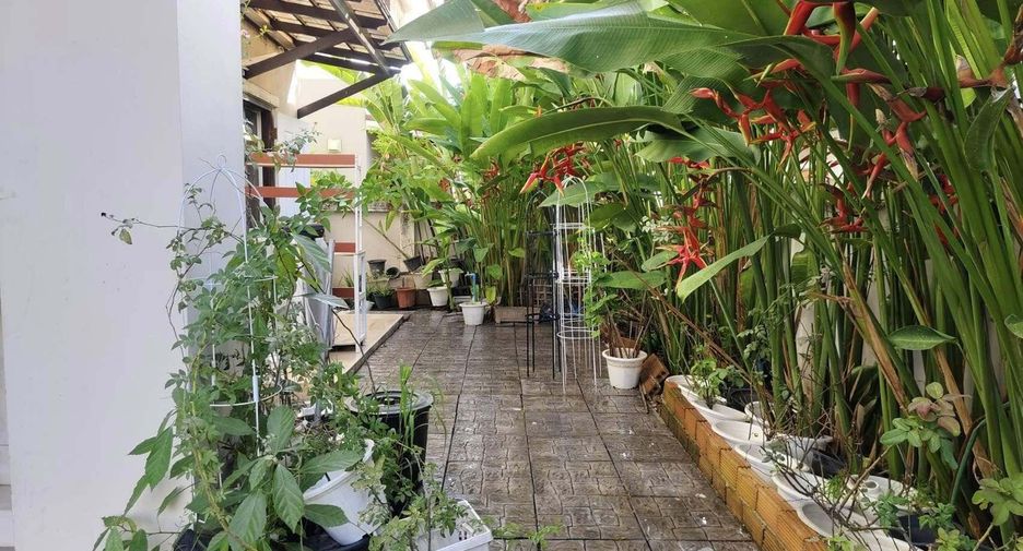 For sale 3 bedrooms house in Doi Saket, Chiang Mai