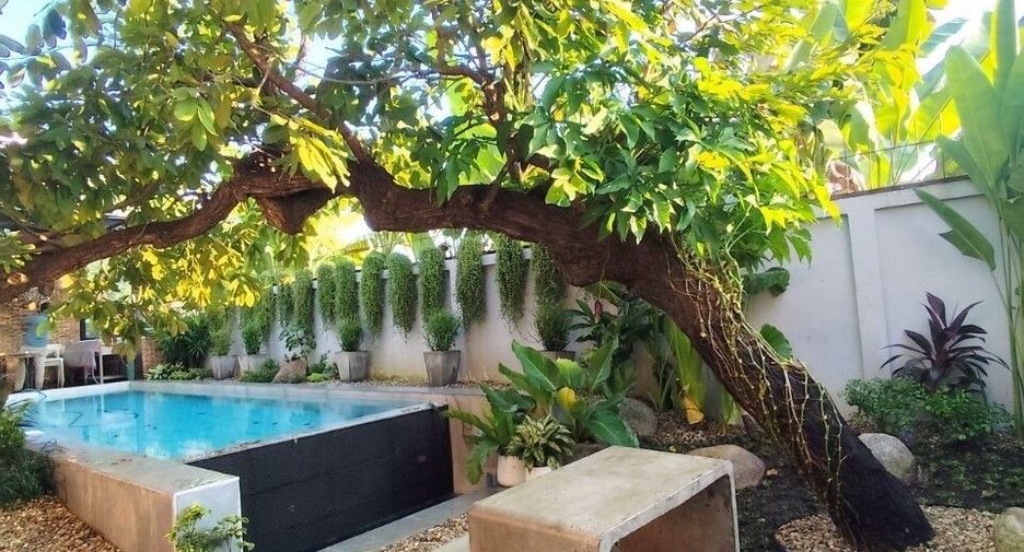 Haus zur Miete mit 3 Zimmer in San Kamphaeng, Chiang Mai