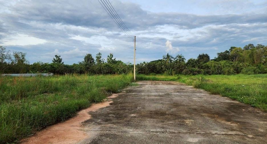 For sale land in Saraphi, Chiang Mai