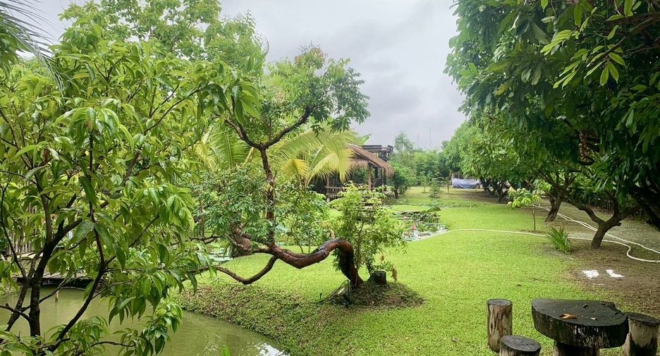For rent 3 bedrooms house in Saraphi, Chiang Mai