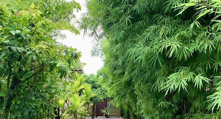For rent 3 bedrooms house in Saraphi, Chiang Mai