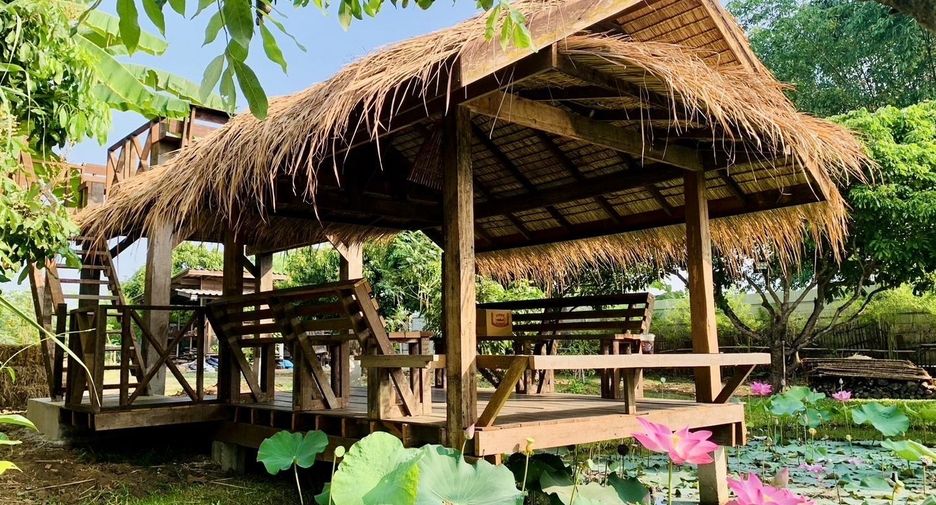 For rent 3 bedrooms house in Saraphi, Chiang Mai