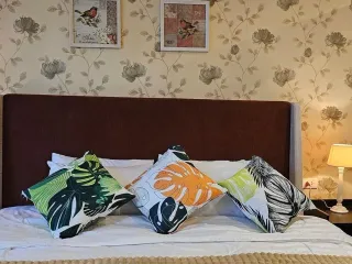Wohnung zum Kauf und zur Miete mit 1 Zimmer in Mueang Chiang Mai, Chiang Mai