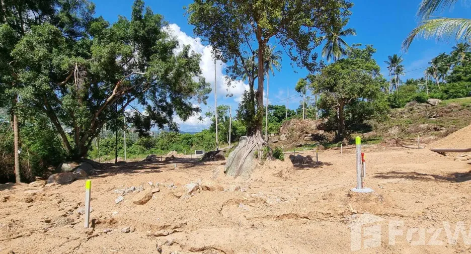 For sale land in Ko Samui, Surat Thani