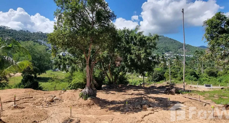 For sale land in Ko Samui, Surat Thani