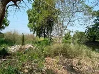 For sale land in Min Buri, Bangkok