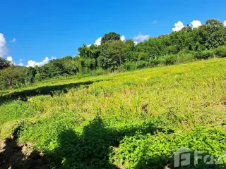 Продажа Участок в Дои Сакет, Чианг Маи