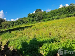 Продажа Участок в Дои Сакет, Чианг Маи