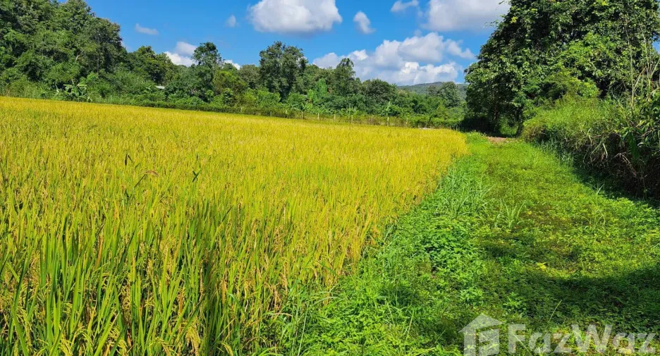 For sale land in Doi Saket, Chiang Mai