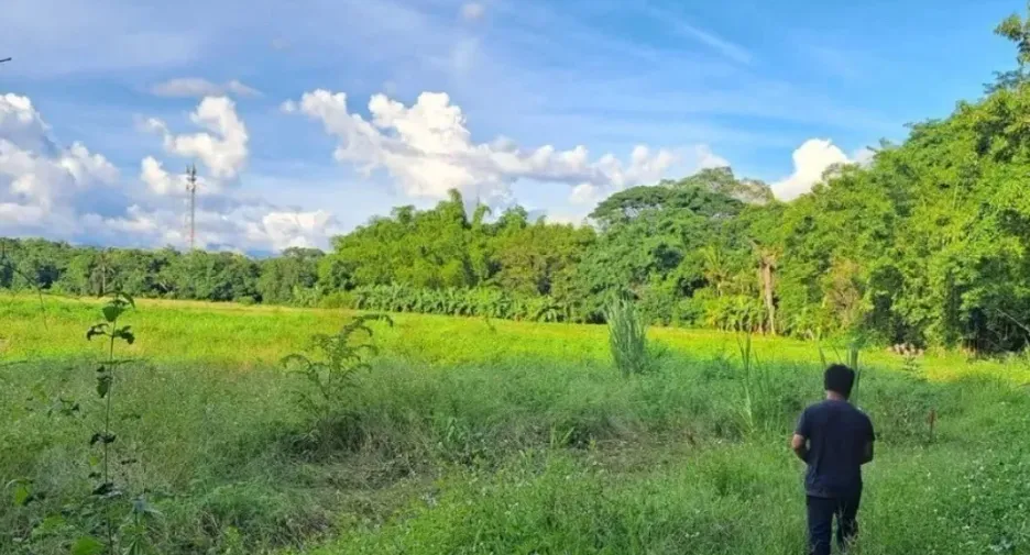 For sale land in Doi Saket, Chiang Mai