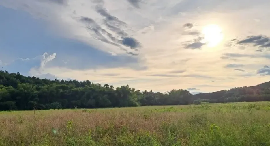 For sale land in Doi Saket, Chiang Mai